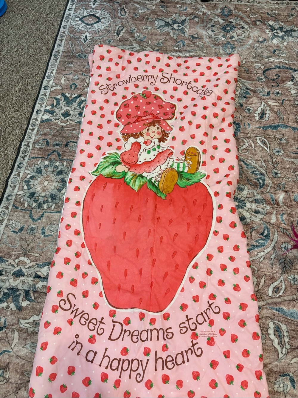 Vintage Strawberry Shortcake Sleeping Bag